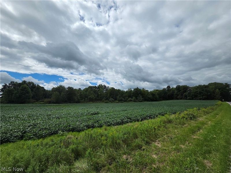 Norton Road, Garrettsville, OH 44231 Photo 2