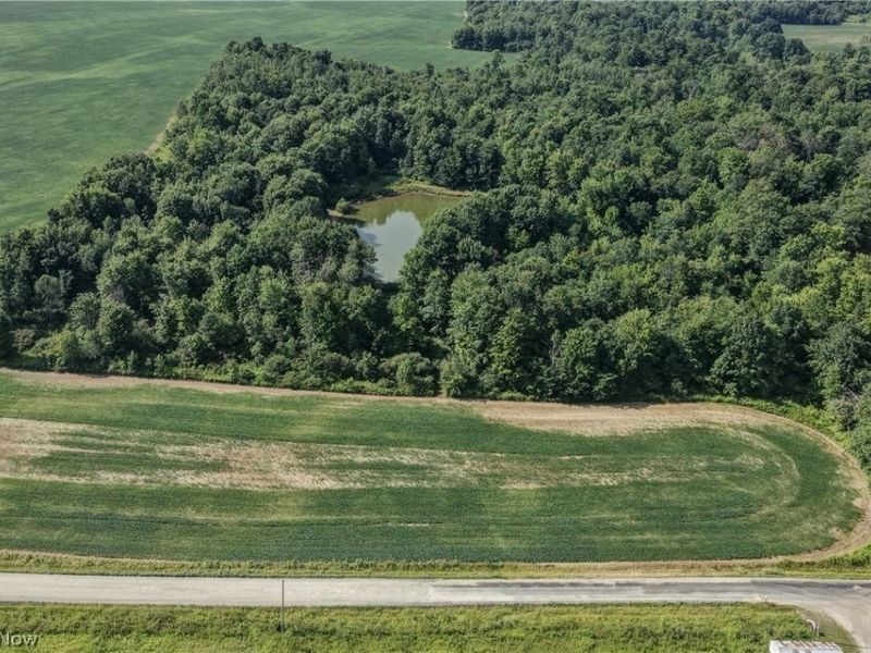 Norton Road, Garrettsville, OH 44231 Photo 20