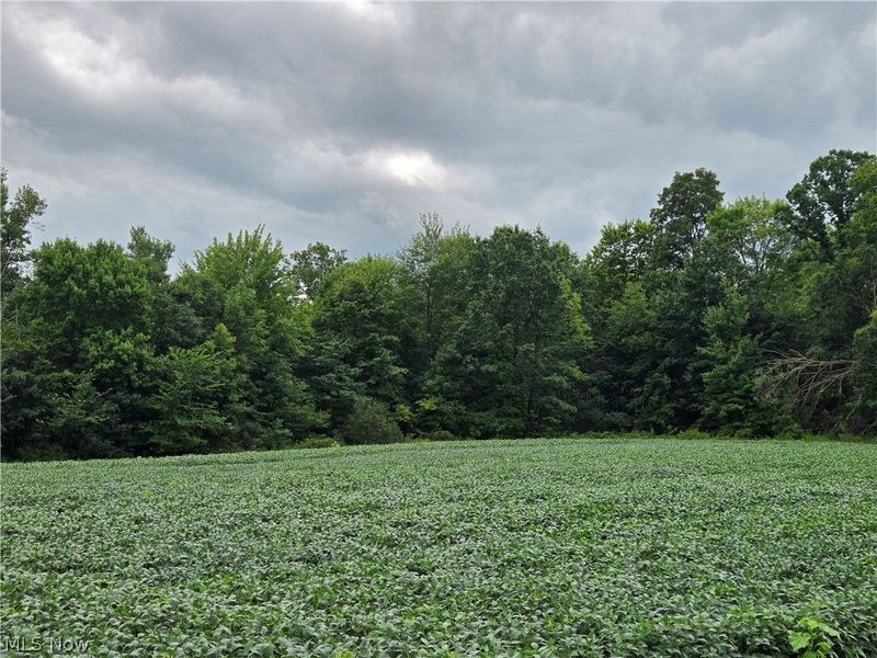 Norton Road, Garrettsville, OH 44231 Photo 3