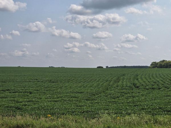 13261 480th Ave , Donnelly, MN 56235
