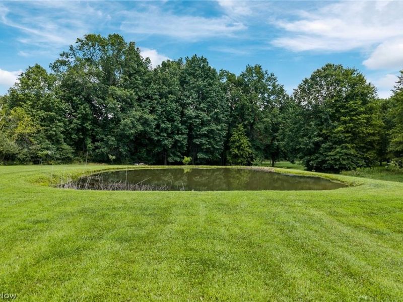10685 Scotts Corners Road, Diamond, OH 44412 Photo 29