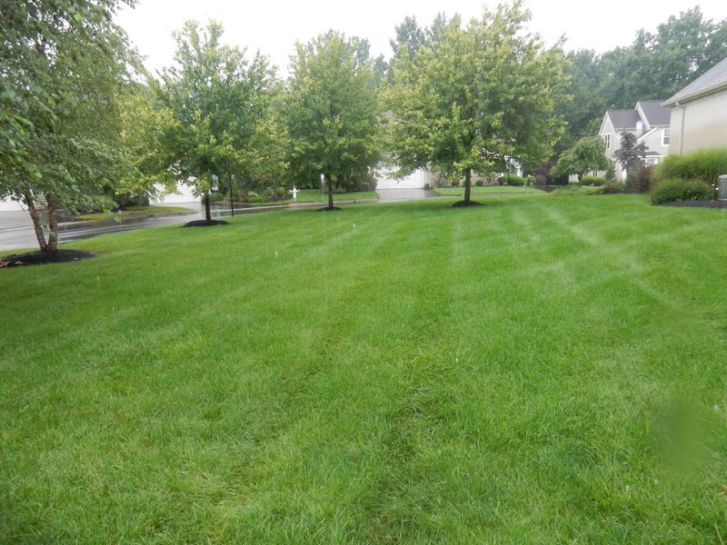 144 Tinley Park Circle , Delaware, OH 43015 Photo 43