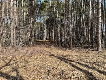 9047 Pineview River Drive, Argentine Township, Mi 48451