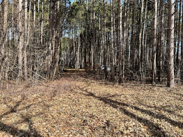 9047 Pineview River Drive , Argentine Township, Mi 48451