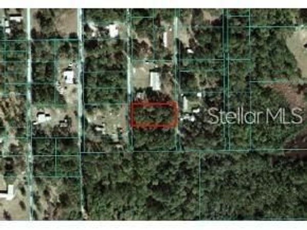NE 141ST TERRACE, FORT MC COY, FL 32134