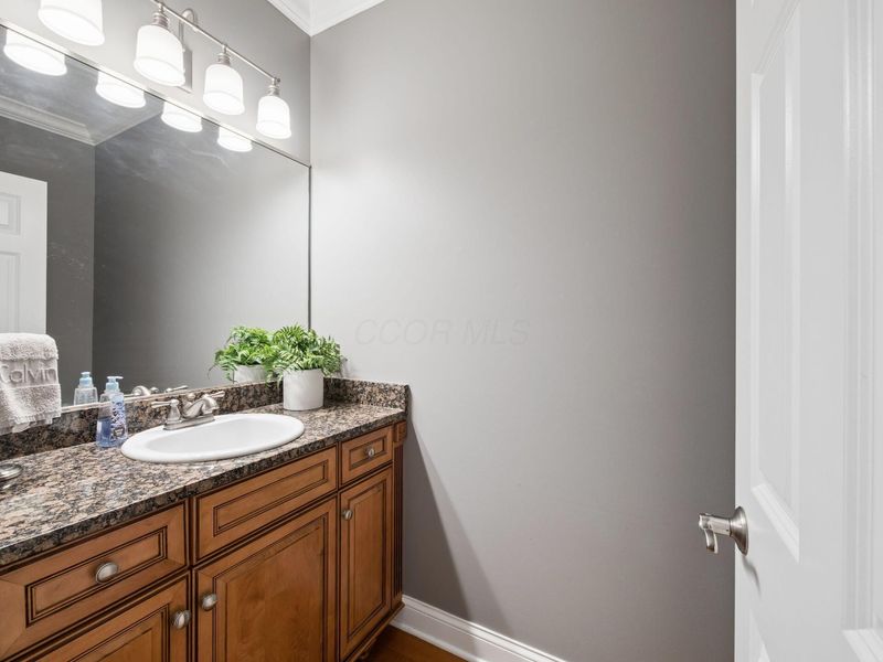271 Tara Glen Drive, Delaware, OH 43015 Photo 28