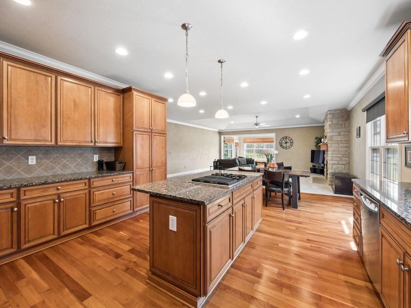 271 Tara Glen Drive, Delaware, OH 43015 Photo 6