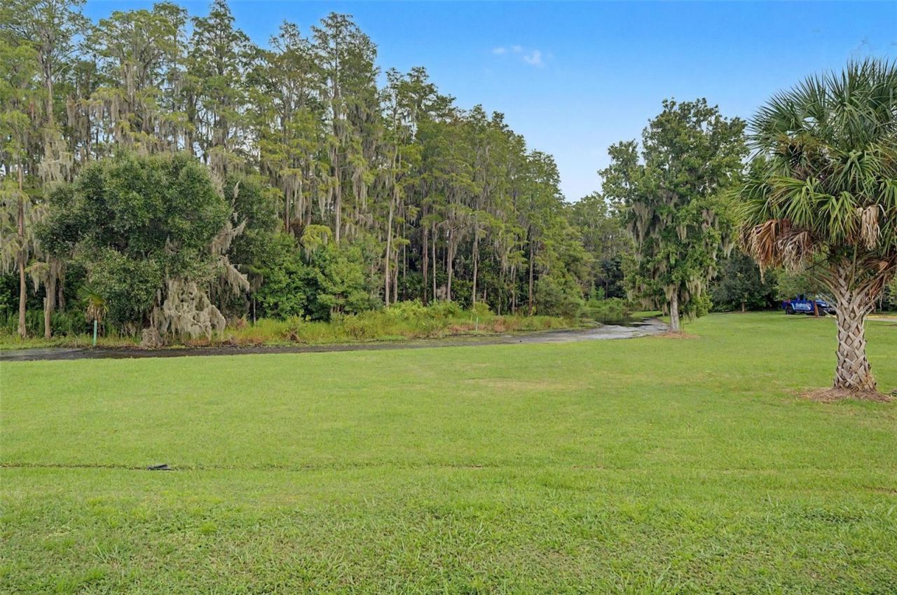 10325 Palladio Drive , New Port Richey, FL 34655 Photo