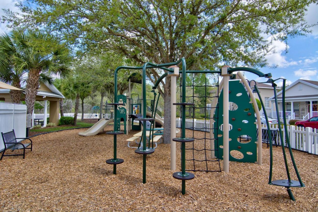 10325 Palladio Drive , New Port Richey, FL 34655 Photo