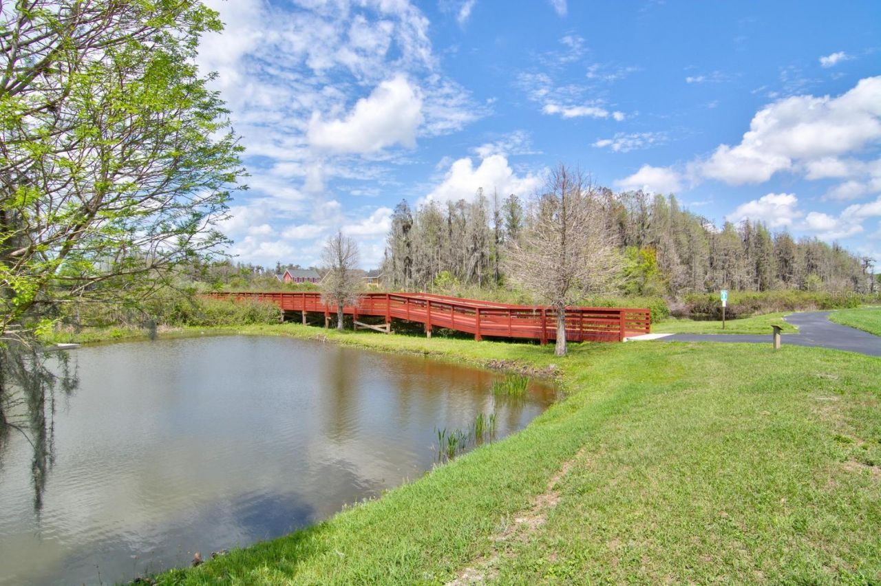 10325 Palladio Drive , New Port Richey, FL 34655 Photo