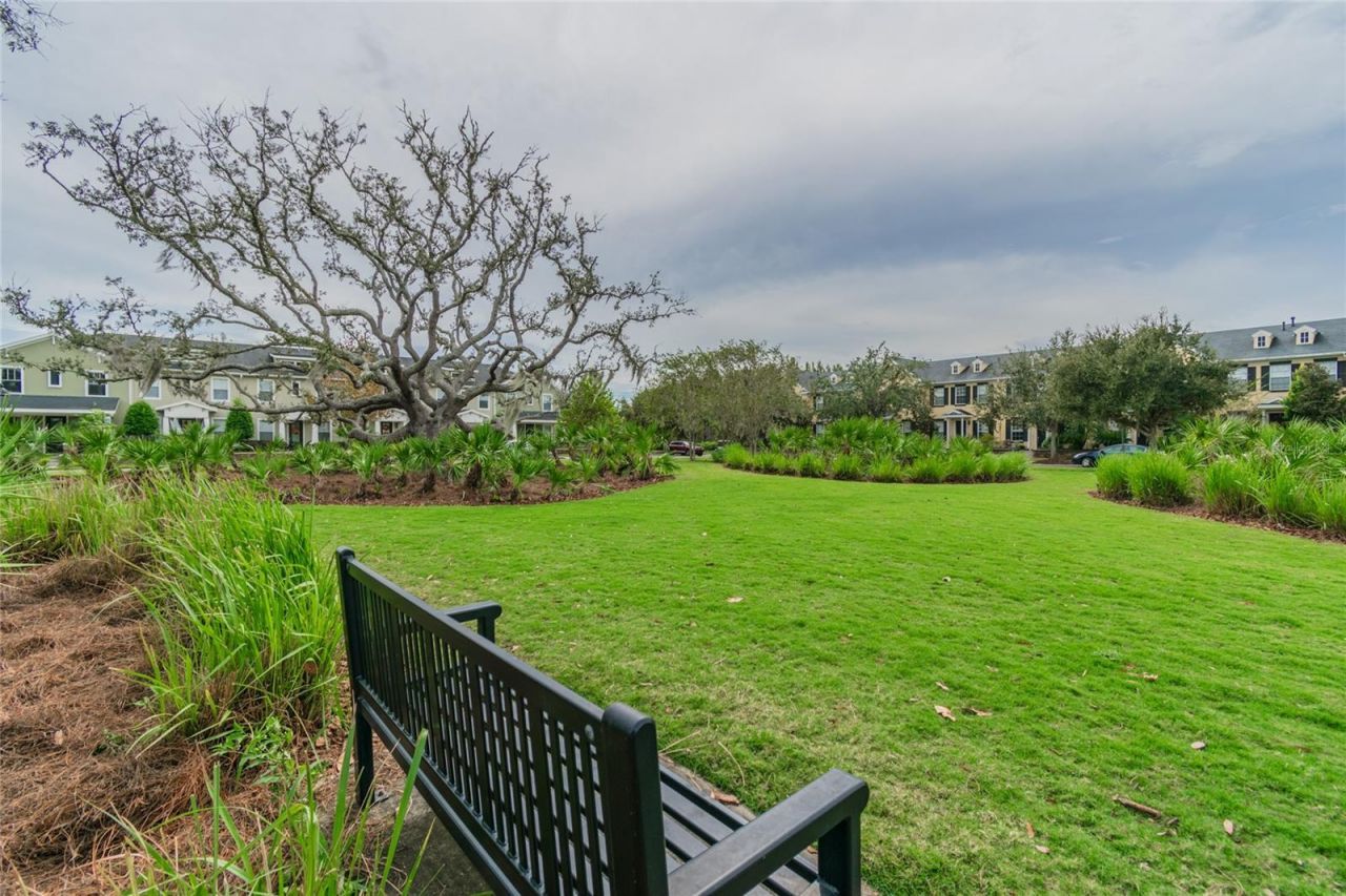 10325 Palladio Drive , New Port Richey, FL 34655 Photo