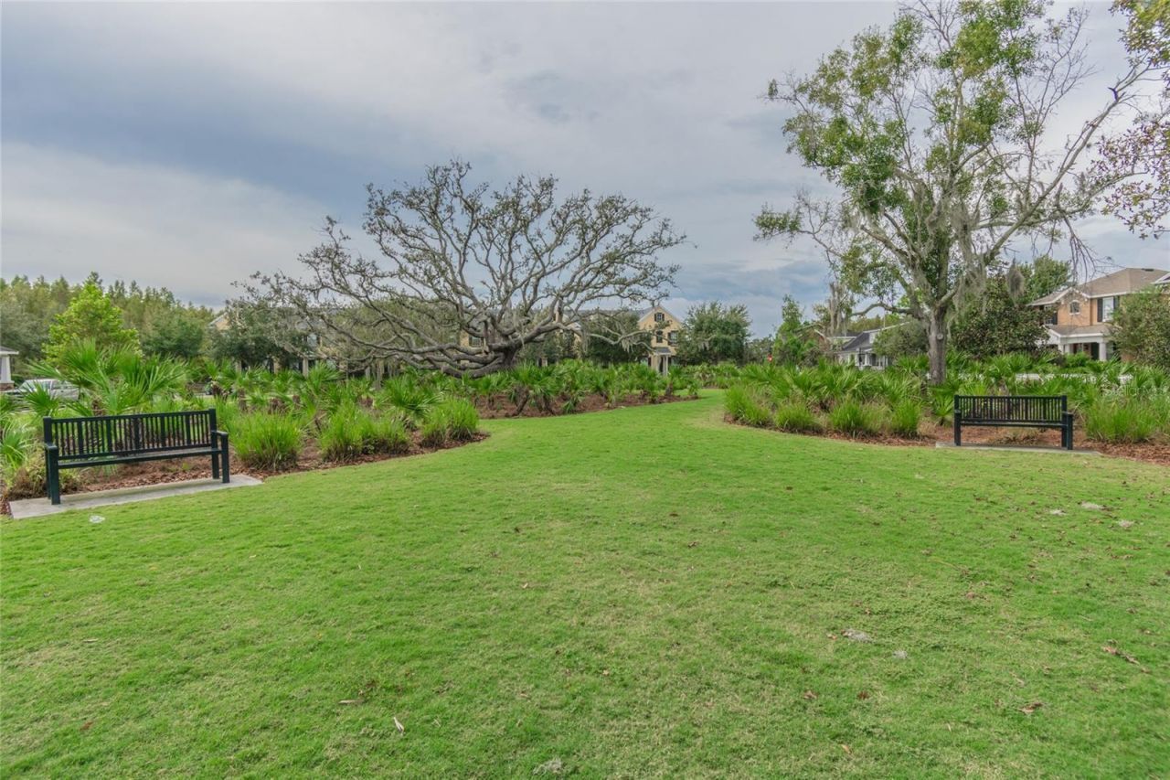 10325 Palladio Drive , New Port Richey, FL 34655 Photo