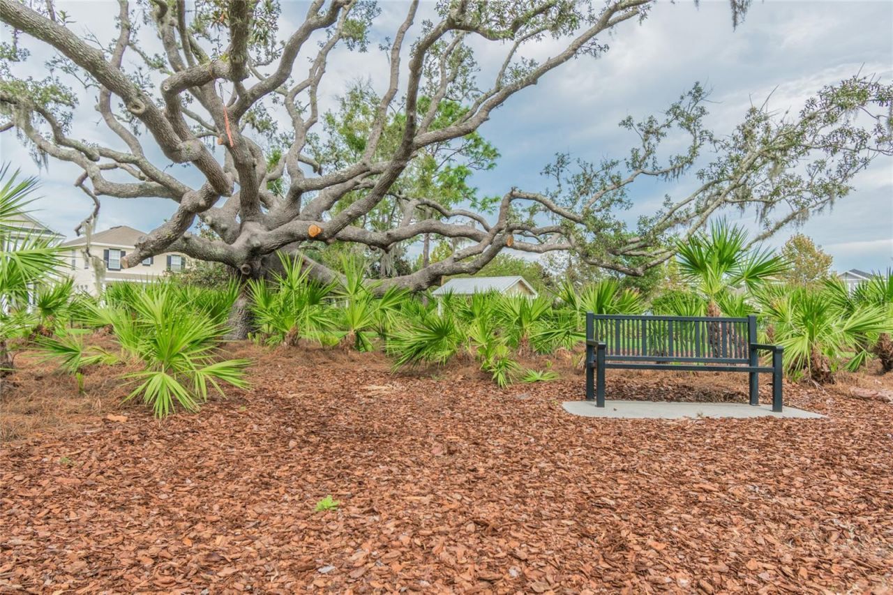 10325 Palladio Drive , New Port Richey, FL 34655 Photo