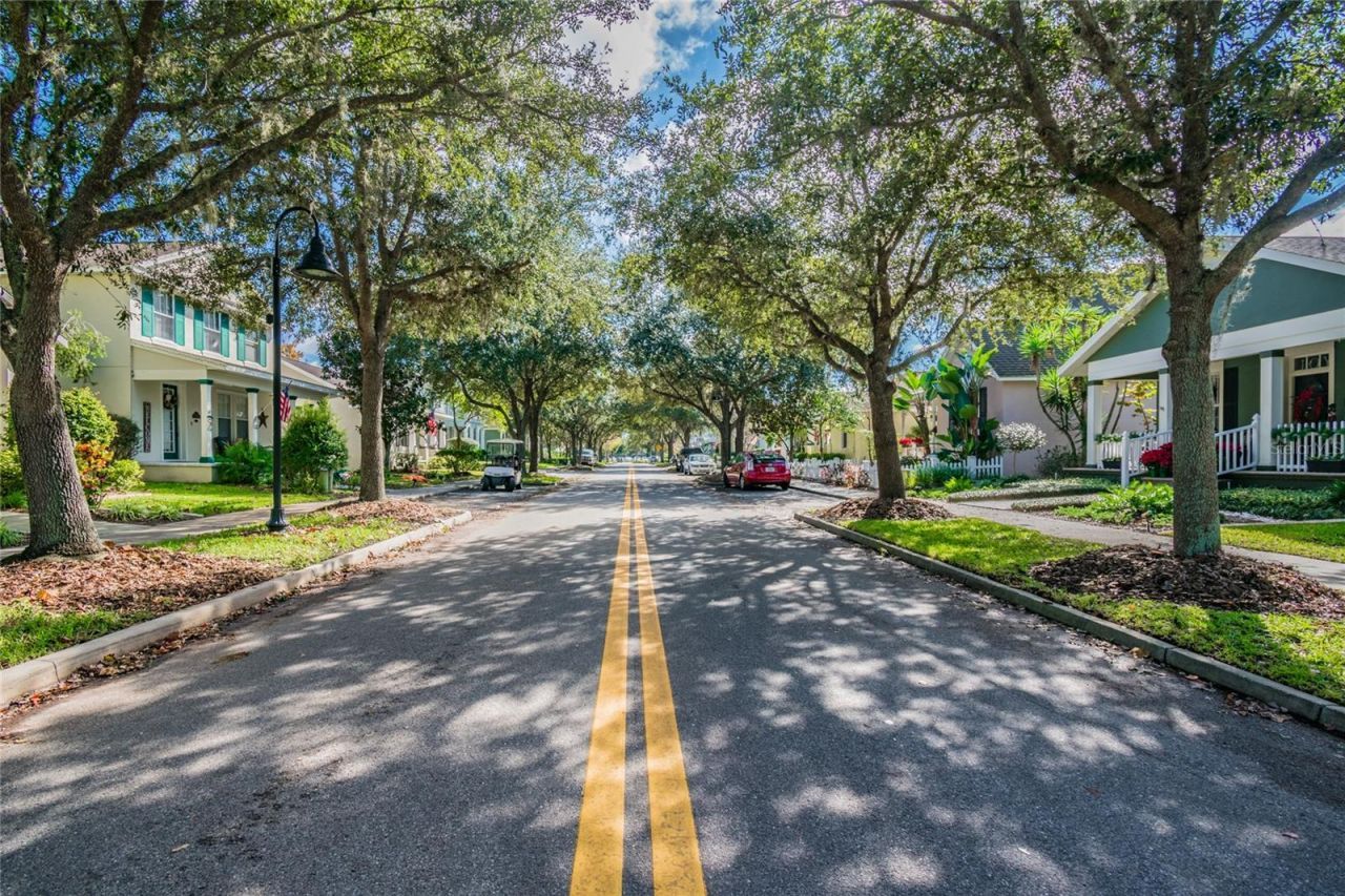 10325 Palladio Drive , New Port Richey, FL 34655 Photo