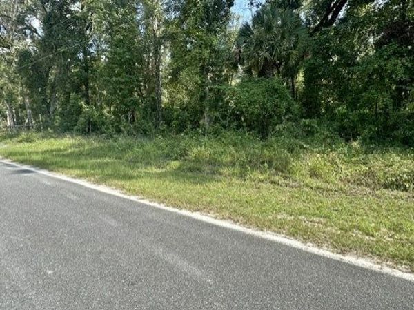 NE 597TH ST, Old Town, FL 32680