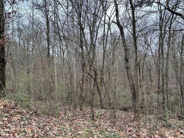 310 Brumlow Hollow Road , Soddy Daisy, TN 37379
