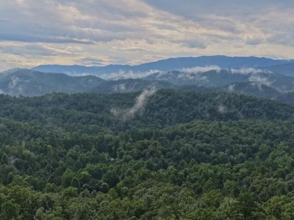 0 Lot 25 Shady Oaks Way, Unit 25, Sevierville, TN 37876