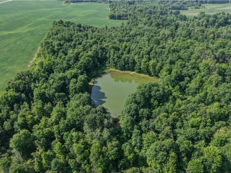 (Parcel 1) Norton Rd , Garrettsville, OH 44231 Photo 3