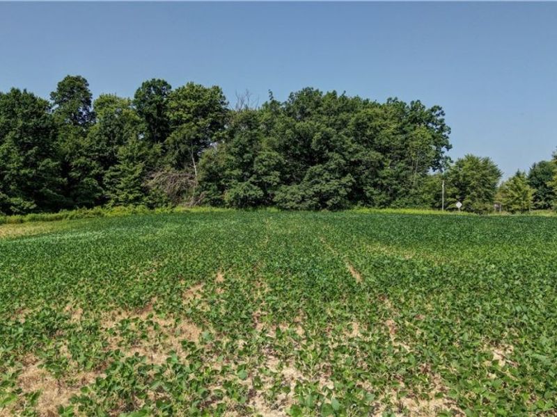 (Parcel 2) Norton Road, Garrettsville, OH 44231 Photo 3