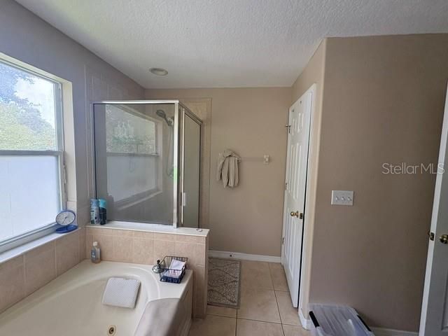 6547 Black Mangrove Drive , Largo, FL 33773 Photo