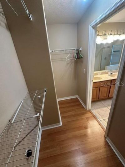 6547 Black Mangrove Drive, Largo, FL 33773 Photo