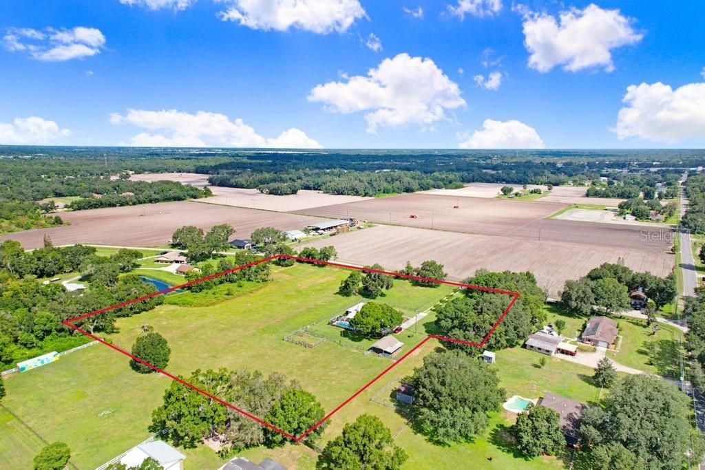 13221 Tom Gallagher Road , Dover, FL 33527 Photo