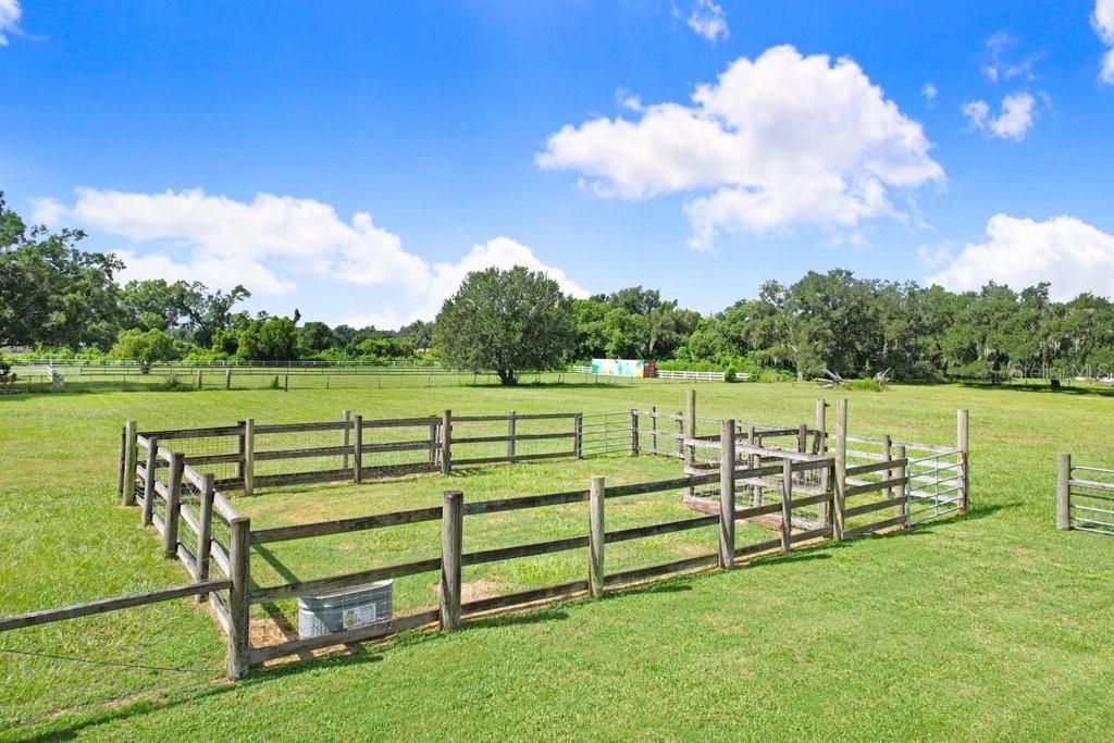 13221 Tom Gallagher Road , Dover, FL 33527 Photo