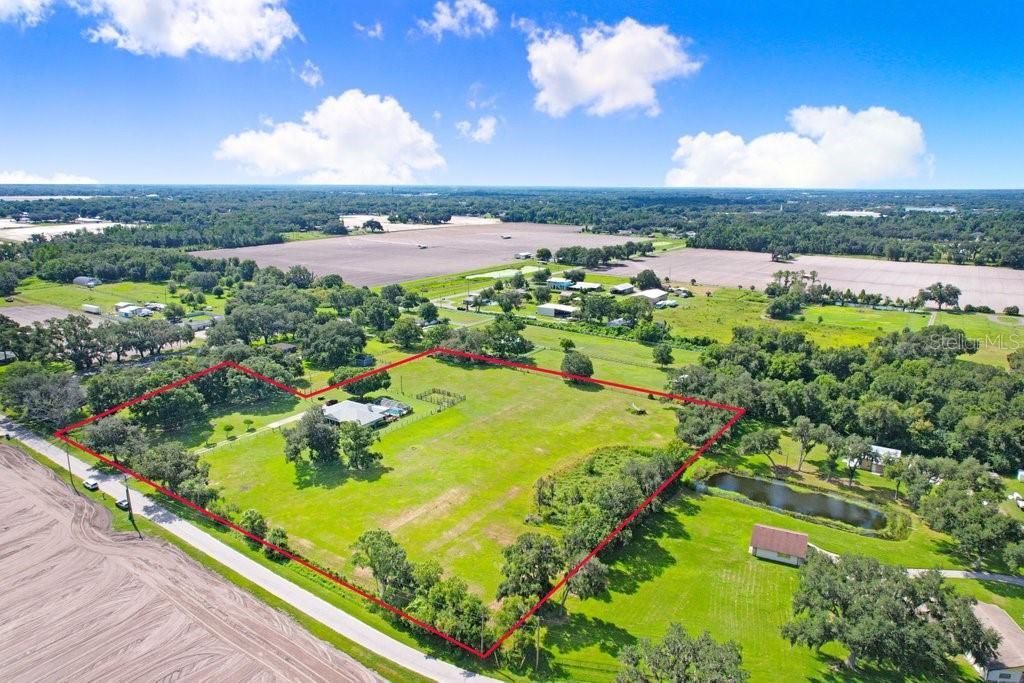 13221 Tom Gallagher Road , Dover, FL 33527 Photo