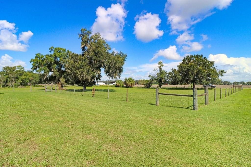 13221 Tom Gallagher Road , Dover, FL 33527 Photo