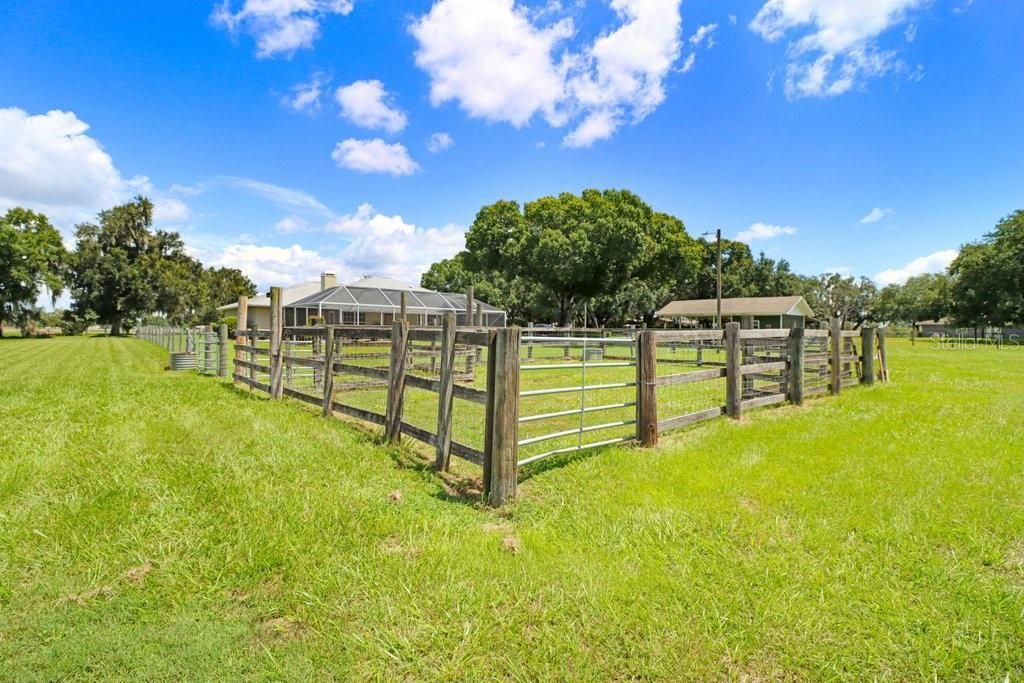 13221 Tom Gallagher Road , Dover, FL 33527 Photo