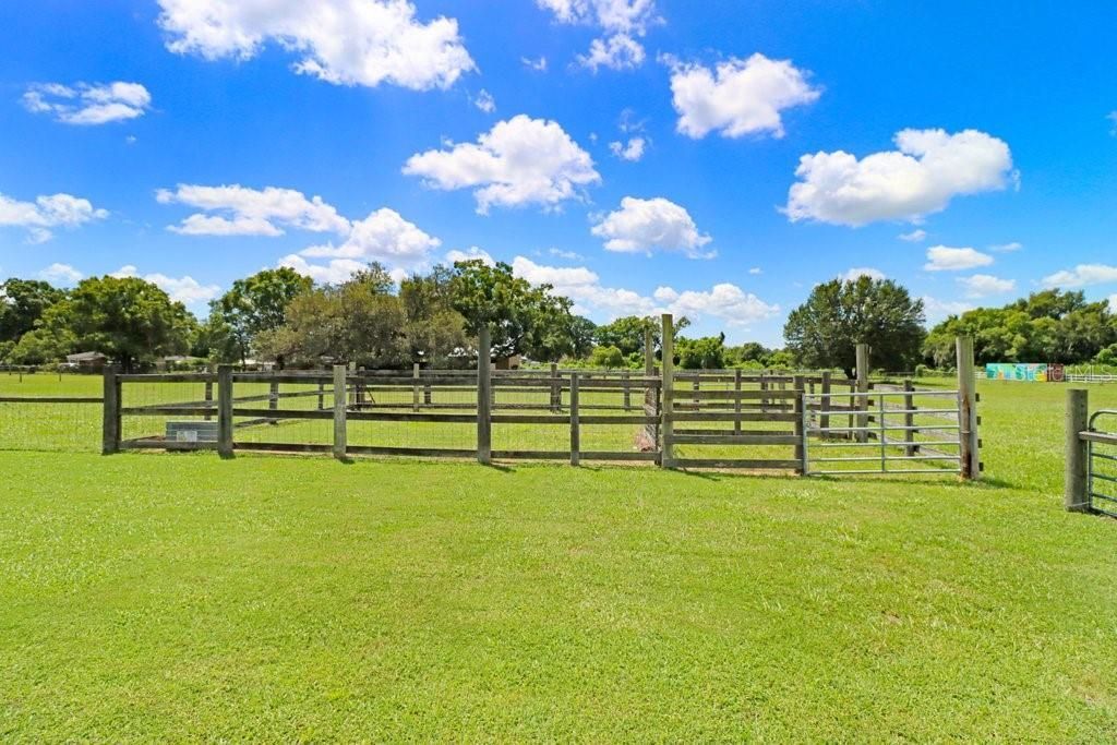 13221 Tom Gallagher Road , Dover, FL 33527 Photo