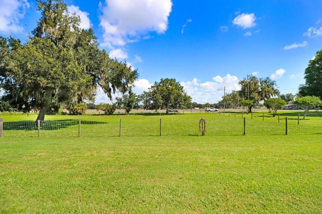 13221 Tom Gallagher Road , Dover, FL 33527 Photo