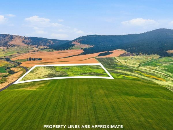 39.5 Acre Lot, Wheeler Rd, Latah, WA 99018