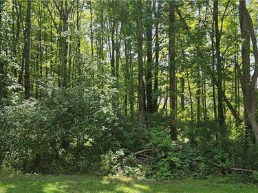 Adams Avenue, Angola, NY 14006