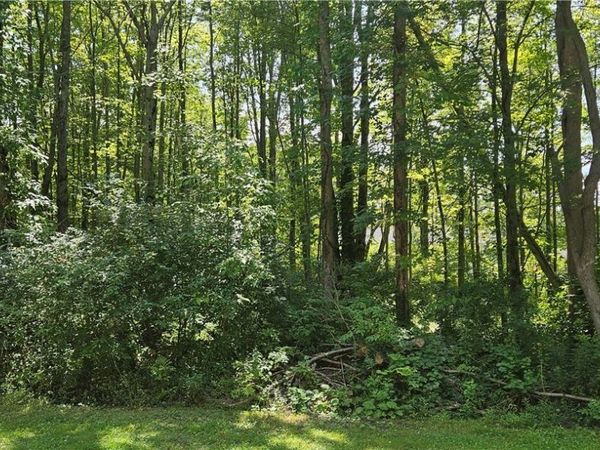 Adams Avenue , Angola, NY 14006