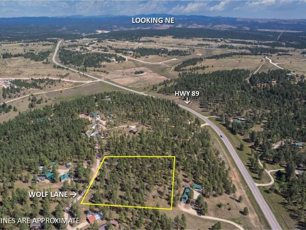 TBD Wolf Lane, Custer, SD 57730