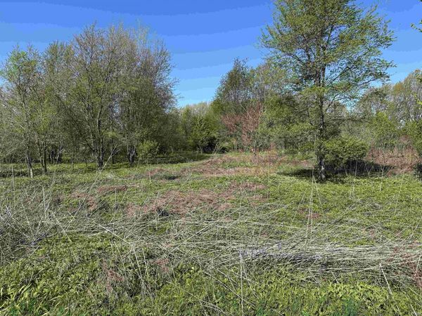 0 US 20 Highway, New Carlisle, IN 46552