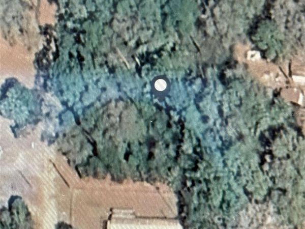NE 117TH AVENUE , SILVER SPRINGS, FL 34488