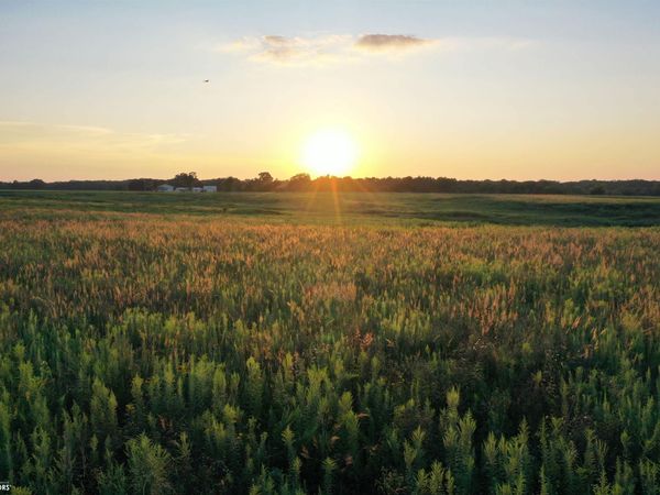 Monroe Wapello Road, Blakesburg, IA 52536