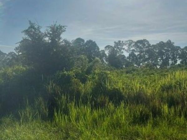 819 Anaconda AVE S, LEHIGH ACRES, FL 33974