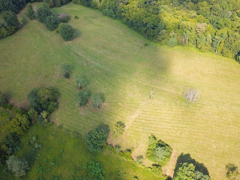 25 Acres Lenoxburg Road, Falmouth, KY 41040 Photo 10