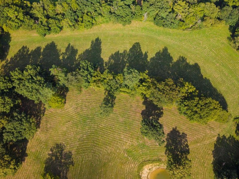 25 Acres Lenoxburg Road, Falmouth, KY 41040 Photo 11