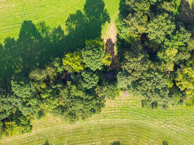 25 Acres Lenoxburg Road, Falmouth, KY 41040 Photo 12