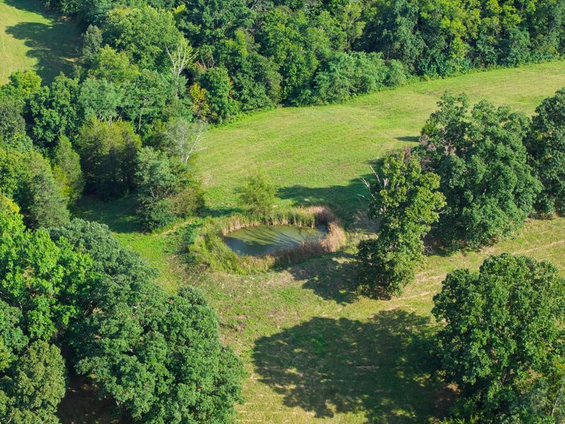 25 Acres Lenoxburg Road, Falmouth, KY 41040 Photo 13