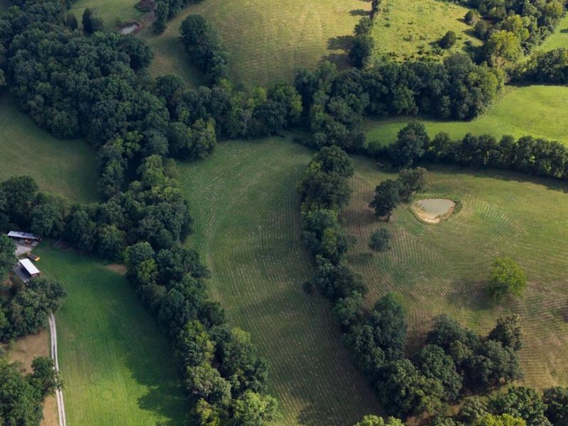 25 Acres Lenoxburg Road, Falmouth, KY 41040 Photo 3