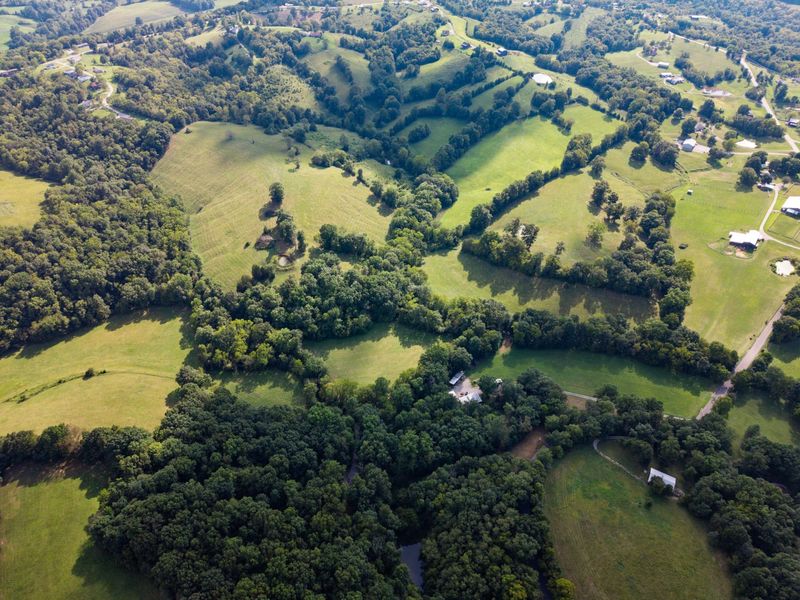 25 Acres Lenoxburg Road, Falmouth, KY 41040 Photo 5