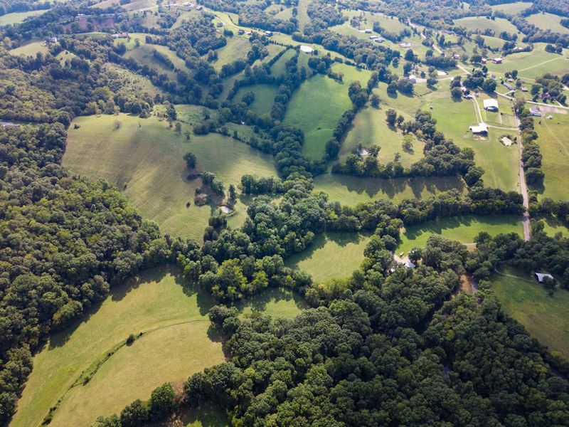 25 Acres Lenoxburg Road, Falmouth, KY 41040 Photo 6