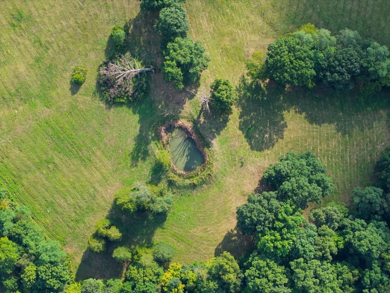25 Acres Lenoxburg Road, Falmouth, KY 41040 Photo 7