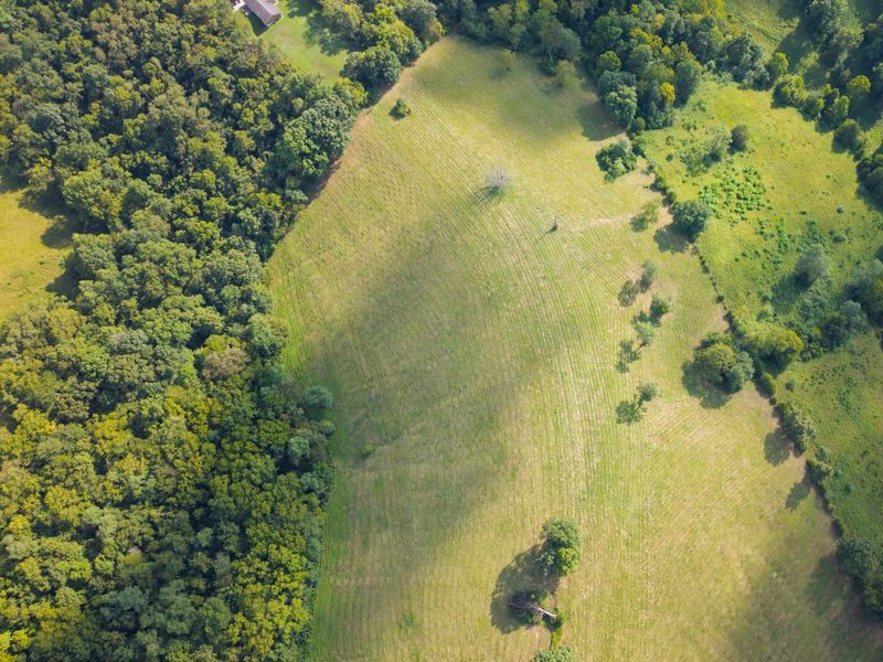 25 Acres Lenoxburg Road, Falmouth, KY 41040 Photo 8