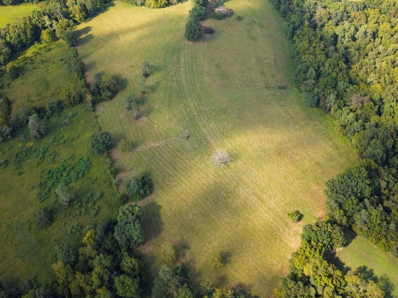 25 Acres Lenoxburg Road, Falmouth, KY 41040 Photo 9